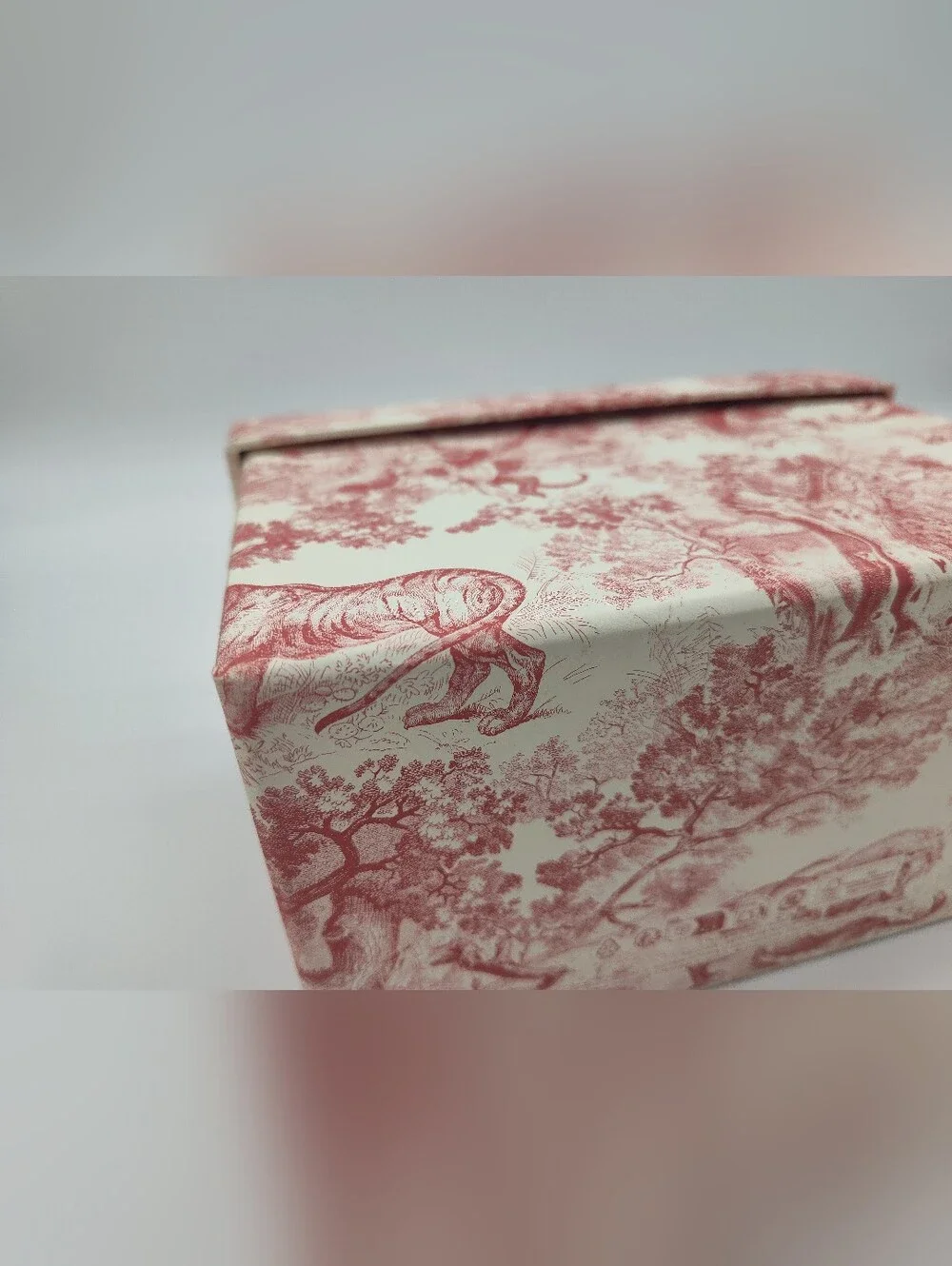 DIOR Toile Jungle Gift Box Tissue Paper Ribbon Set Pink Cream Gold Packaging EUC
